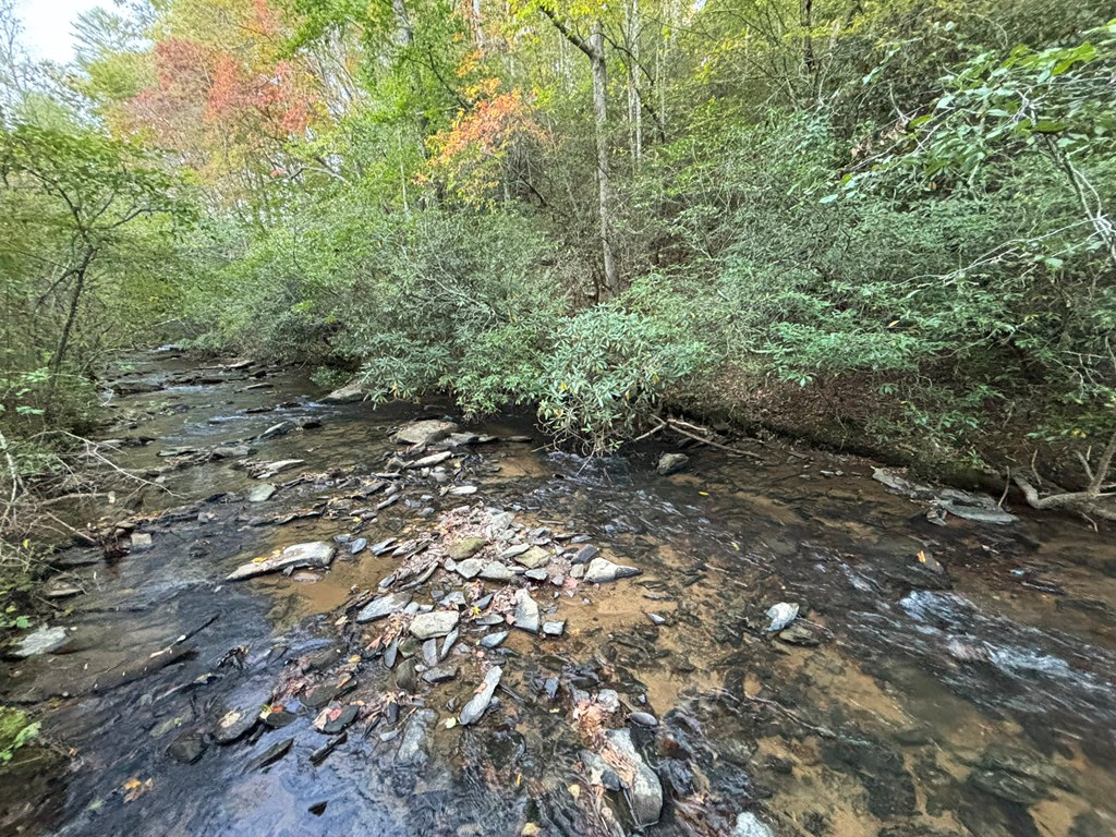 2010 Mt. Springer Road Property Photo 2