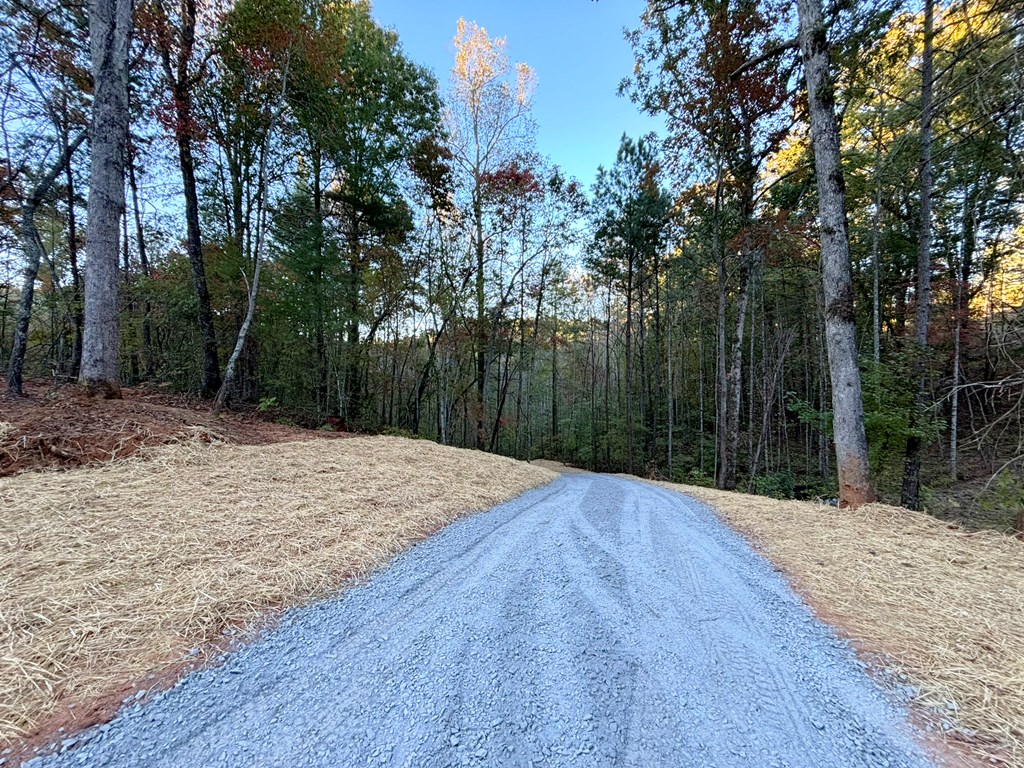 2010 Mt. Springer Road Property Photo 3