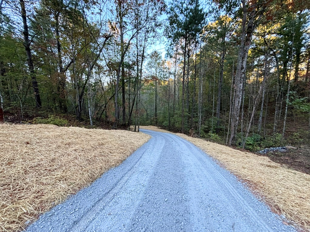 2010 Mt. Springer Road Property Photo 4
