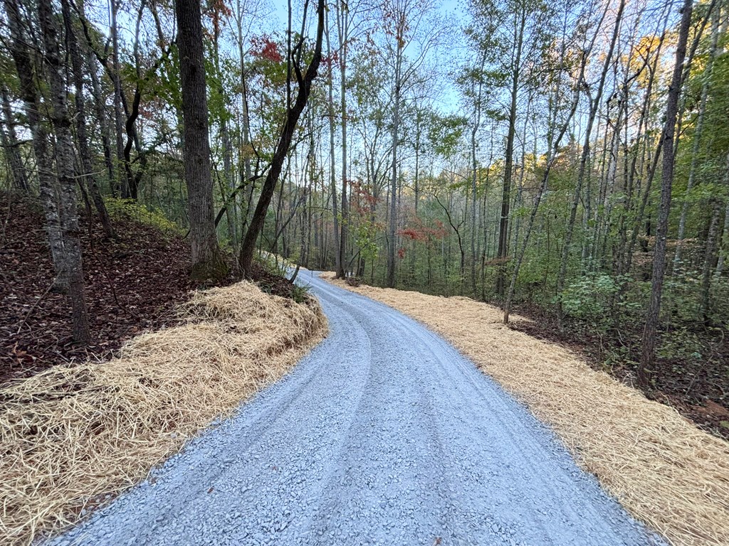 2010 Mt. Springer Road Property Photo 6