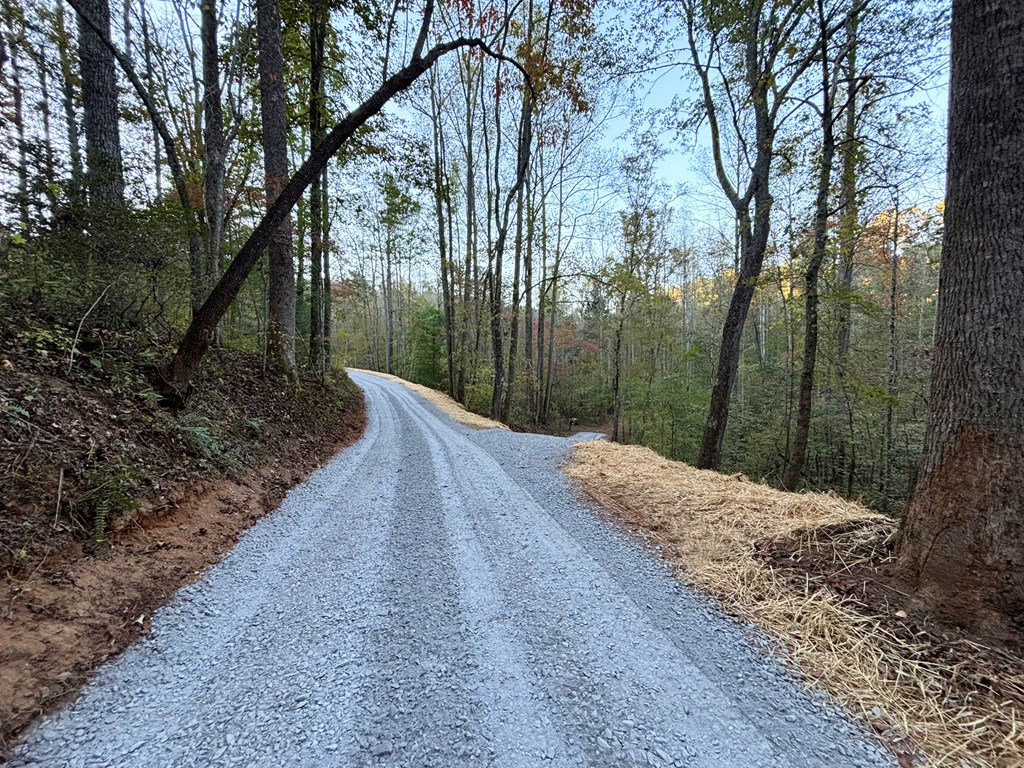 2010 Mt. Springer Road Property Photo 8