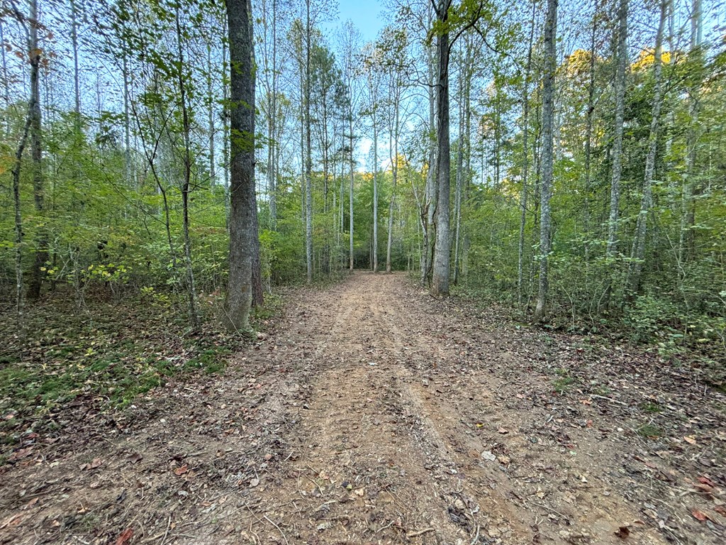 2010 Mt. Springer Road Property Photo 10