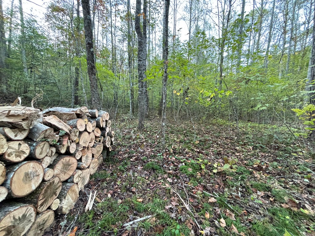 2010 Mt. Springer Road Property Photo 11