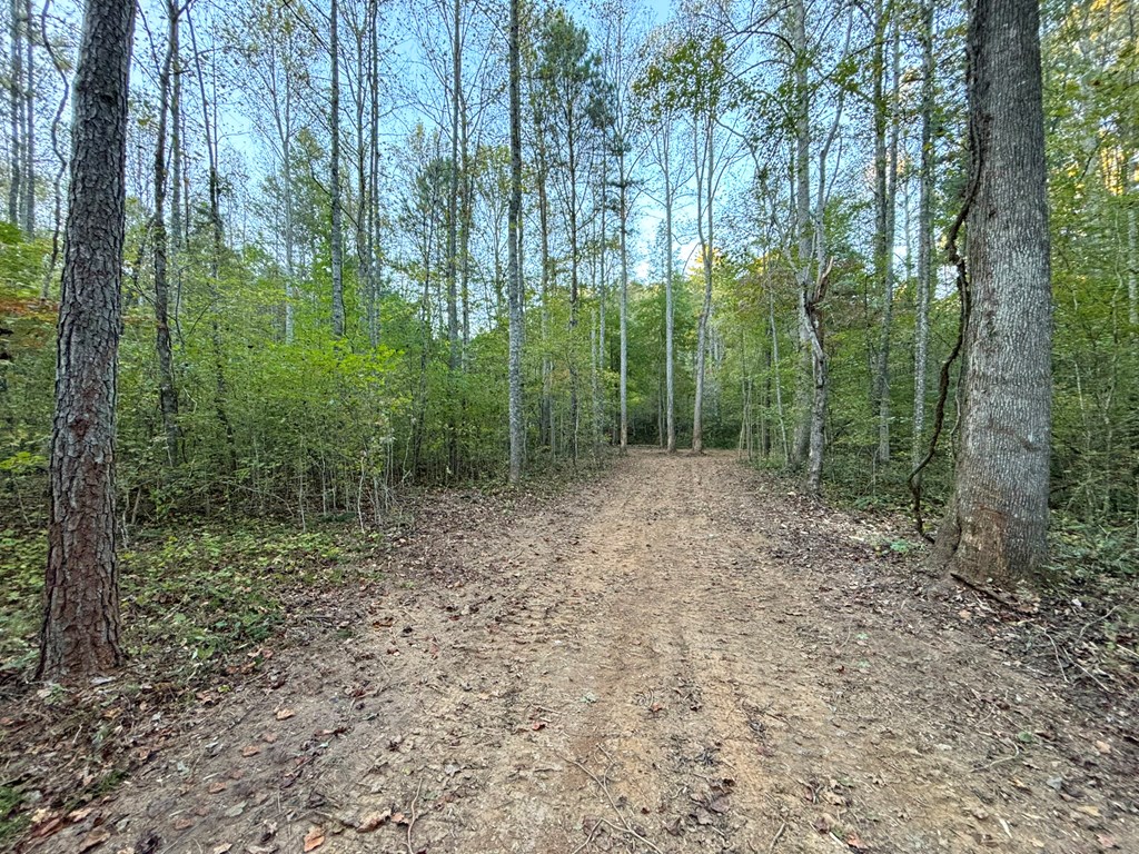 2010 Mt. Springer Road Property Photo 12