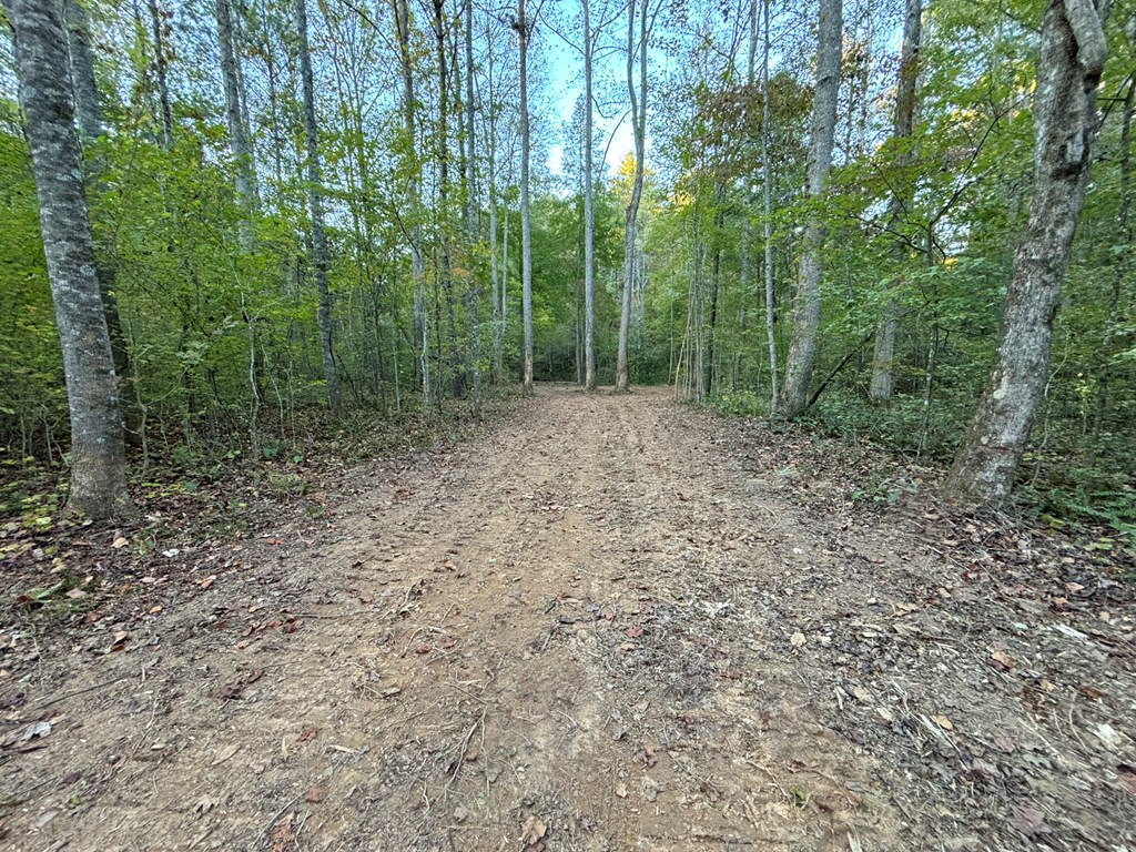 2010 Mt. Springer Road Property Photo 13