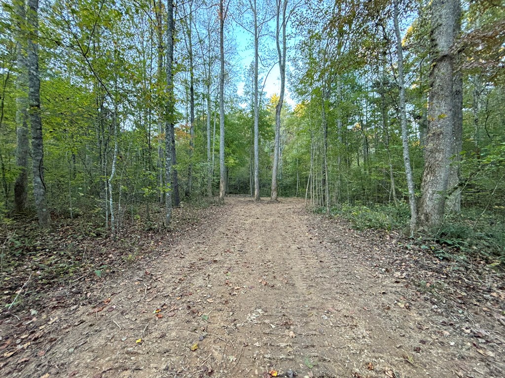 2010 Mt. Springer Road Property Photo 14