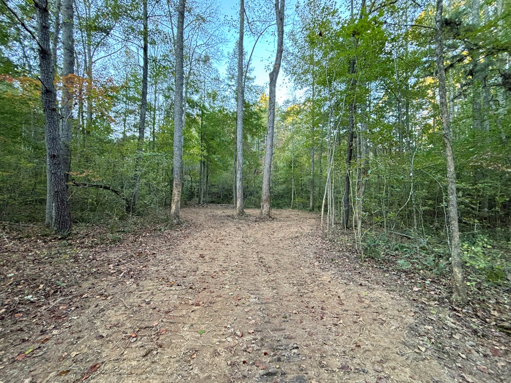 2010 Mt. Springer Road Property Photo 15