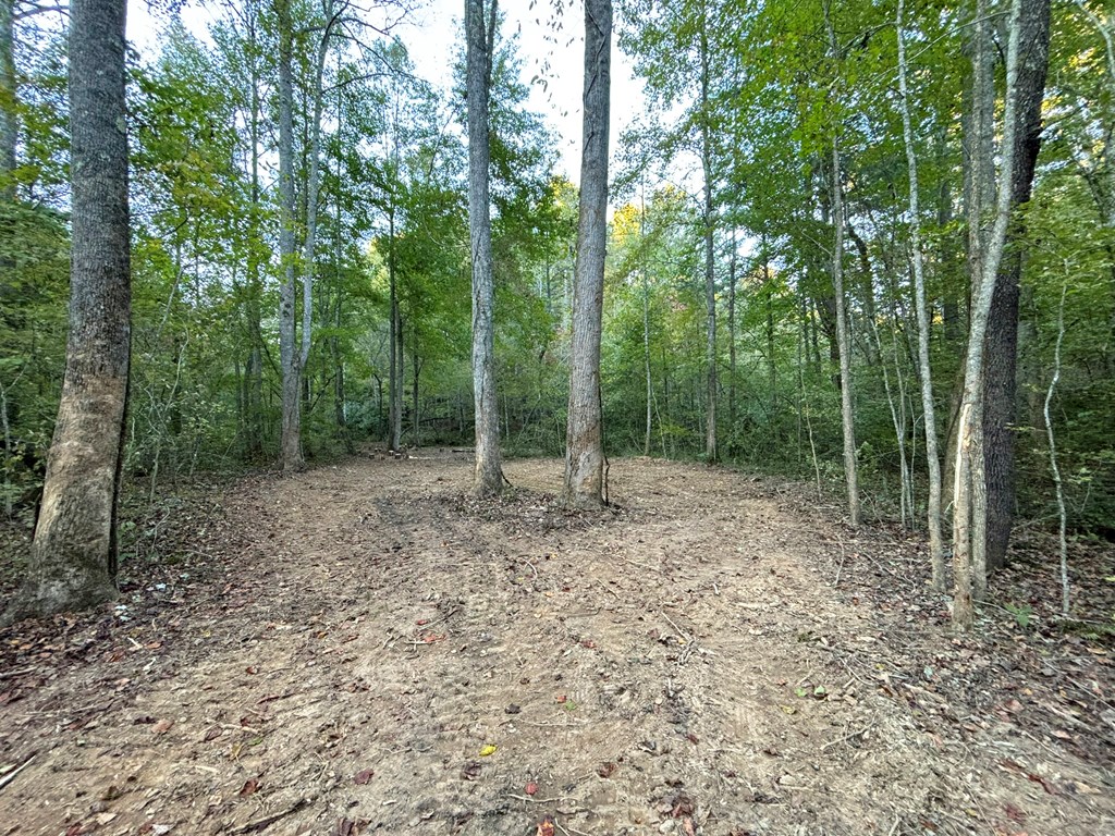 2010 Mt. Springer Road Property Photo 16