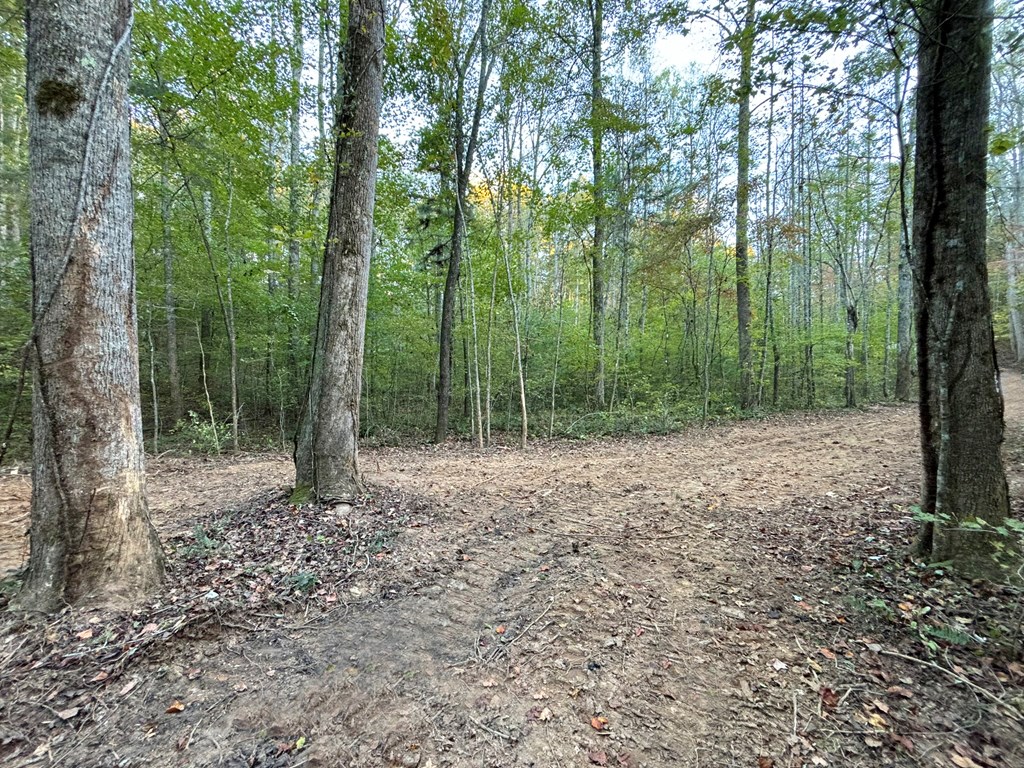 2010 Mt. Springer Road Property Photo 17