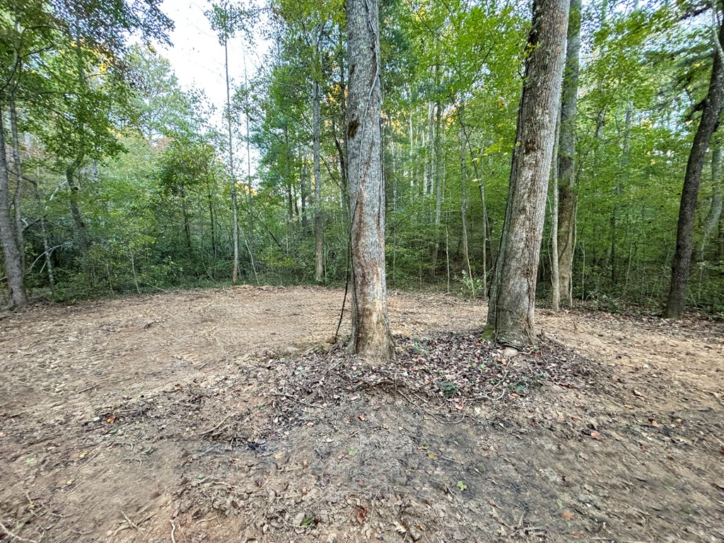 2010 Mt. Springer Road Property Photo 18
