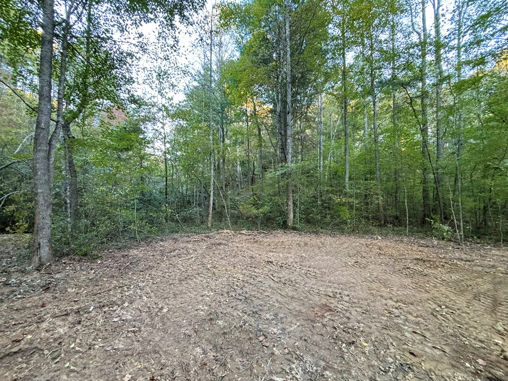 2010 Mt. Springer Road Property Photo 19