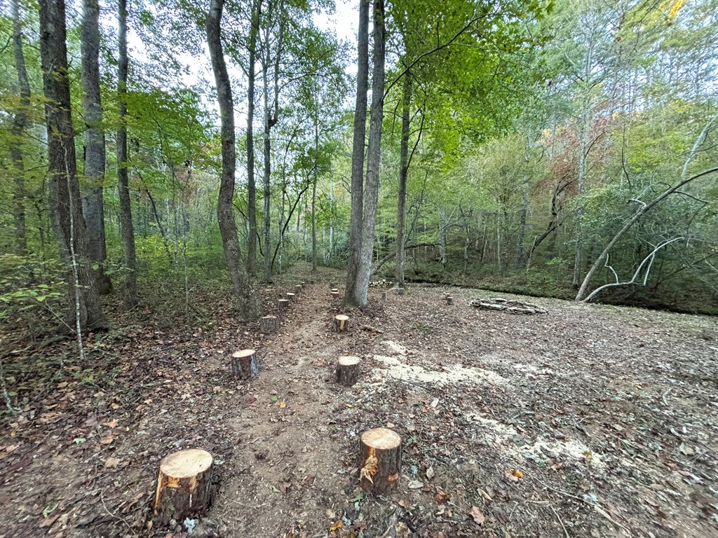 2010 Mt. Springer Road Property Photo 20