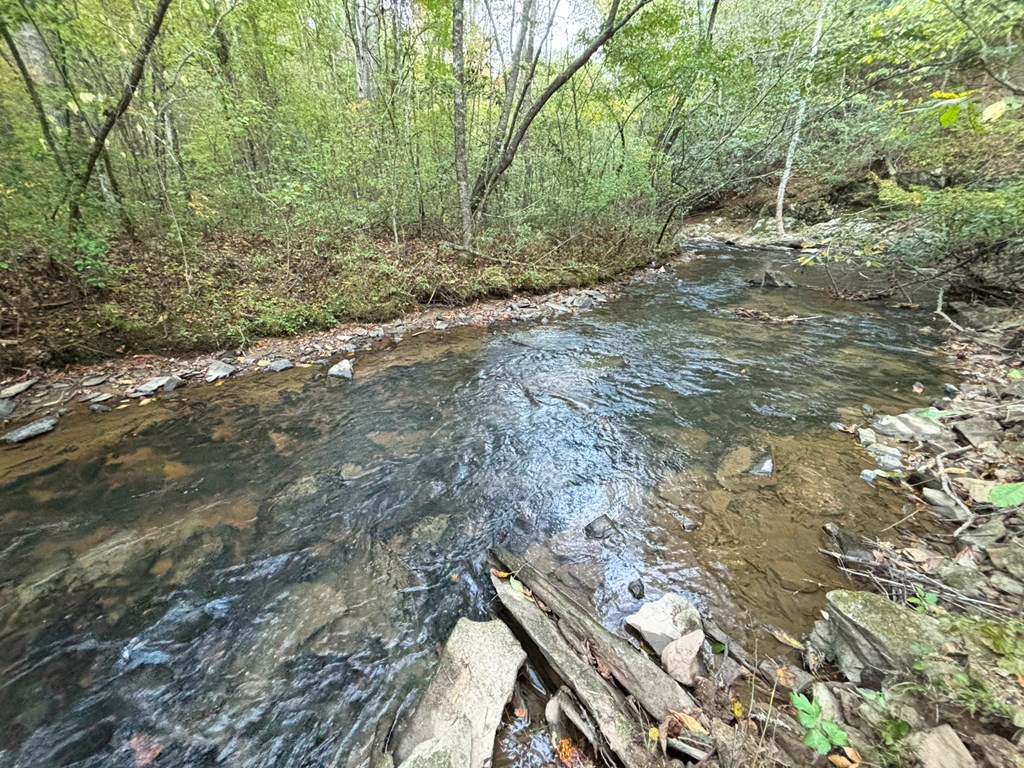 2010 Mt. Springer Road Property Photo 22