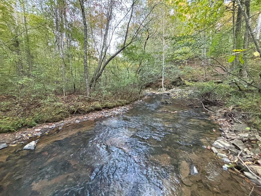 2010 Mt. Springer Road Property Photo 23