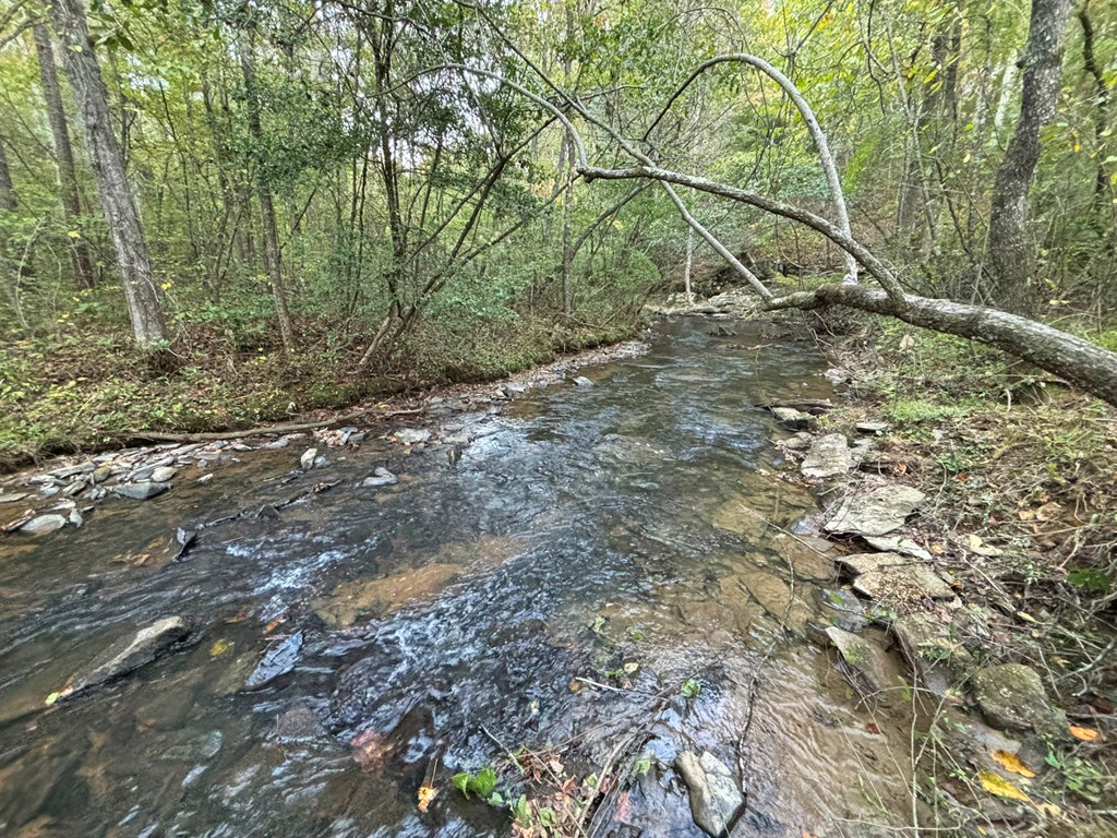 2010 Mt. Springer Road Property Photo 26