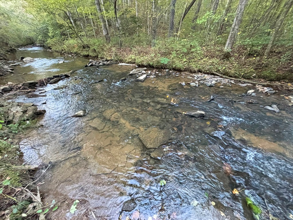 2010 Mt. Springer Road Property Photo 27