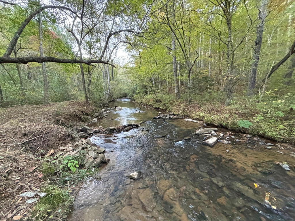 2010 Mt. Springer Road Property Photo 28