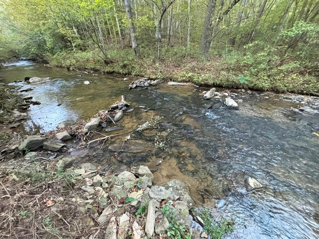 2010 Mt. Springer Road Property Photo 29