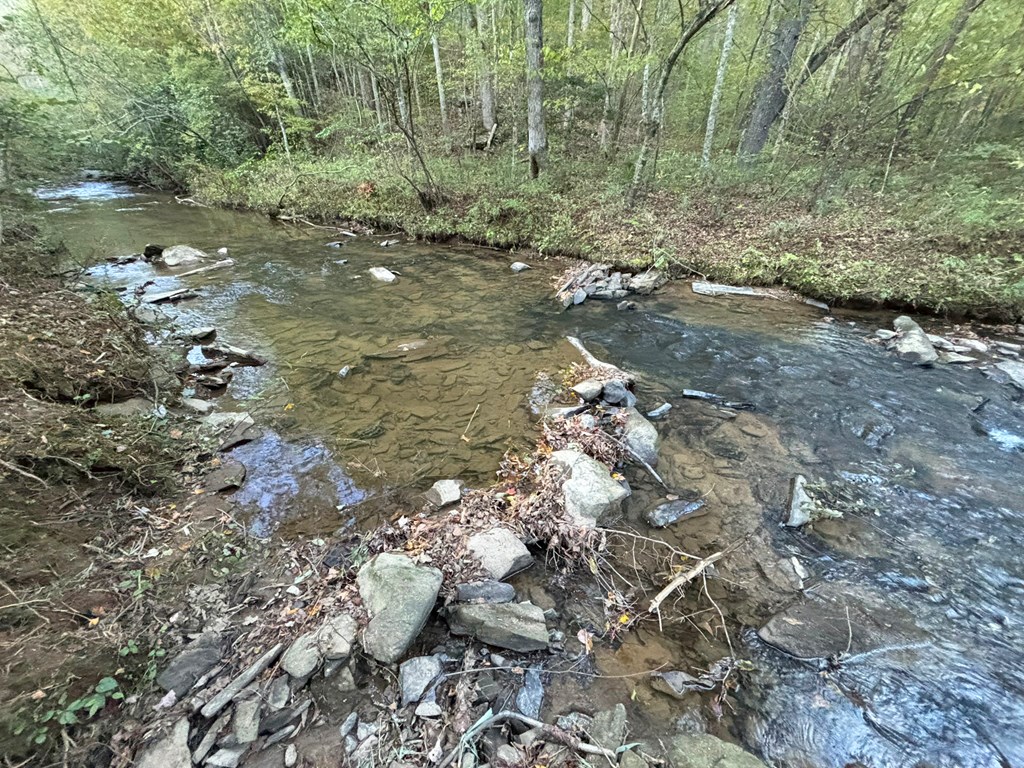 2010 Mt. Springer Road Property Photo 31