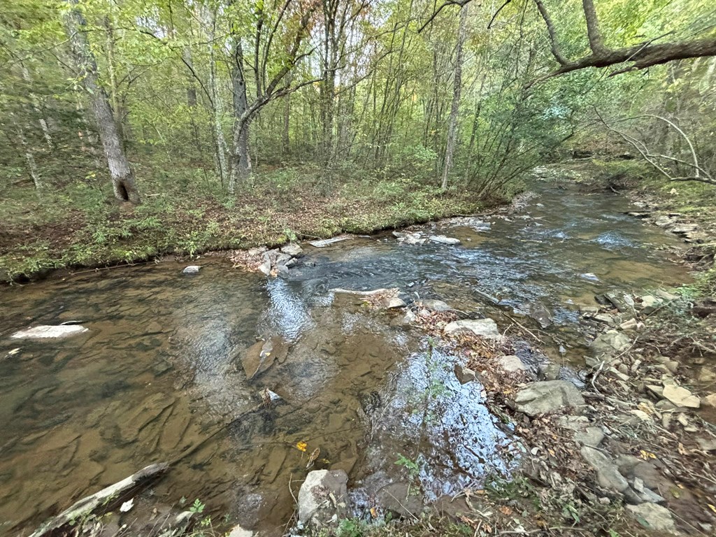 2010 Mt. Springer Road Property Photo 32