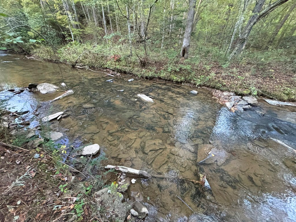 2010 Mt. Springer Road Property Photo 33
