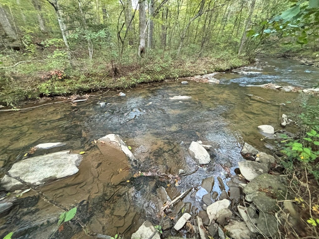 2010 Mt. Springer Road Property Photo 34
