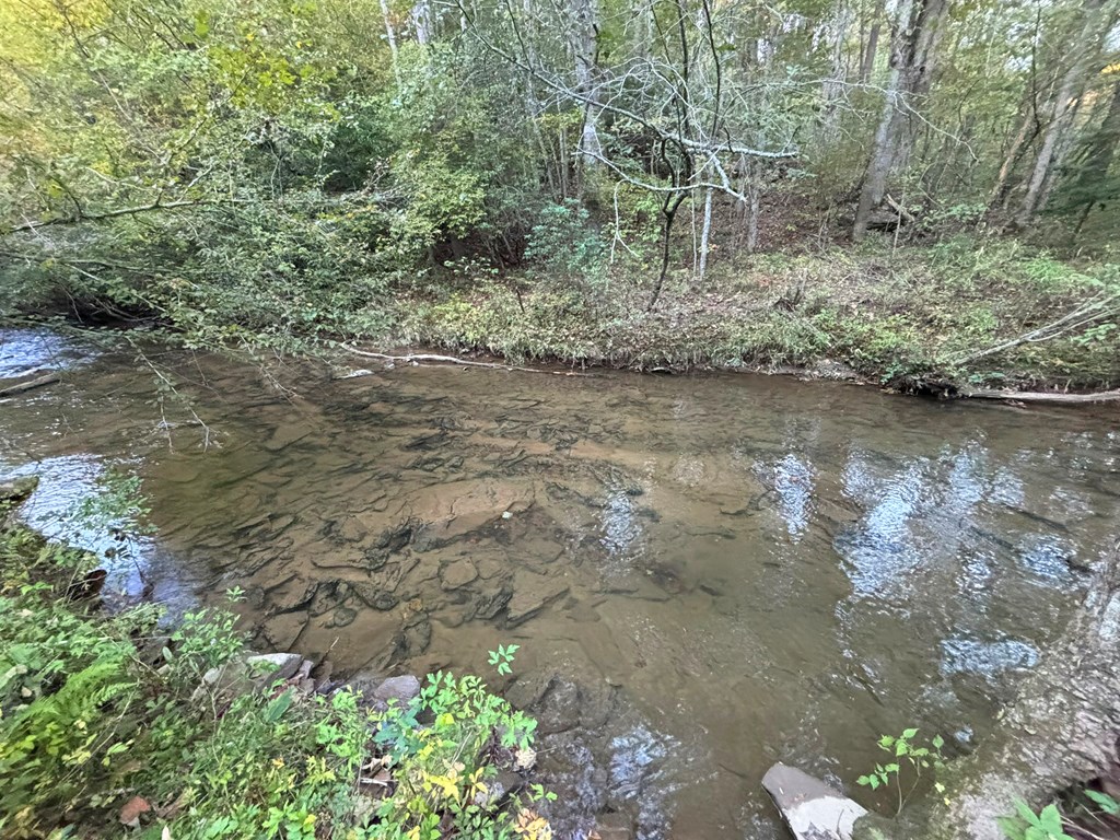 2010 Mt. Springer Road Property Photo 35