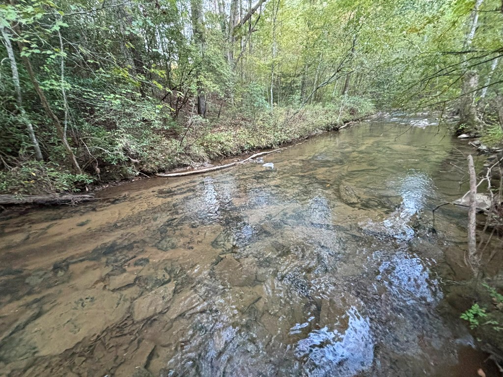 2010 Mt. Springer Road Property Photo 36