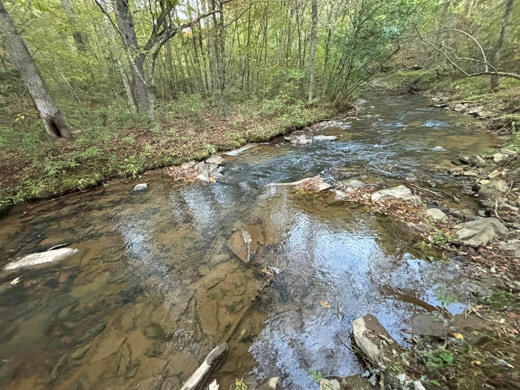 2010 Mt. Springer Road Property Photo 37