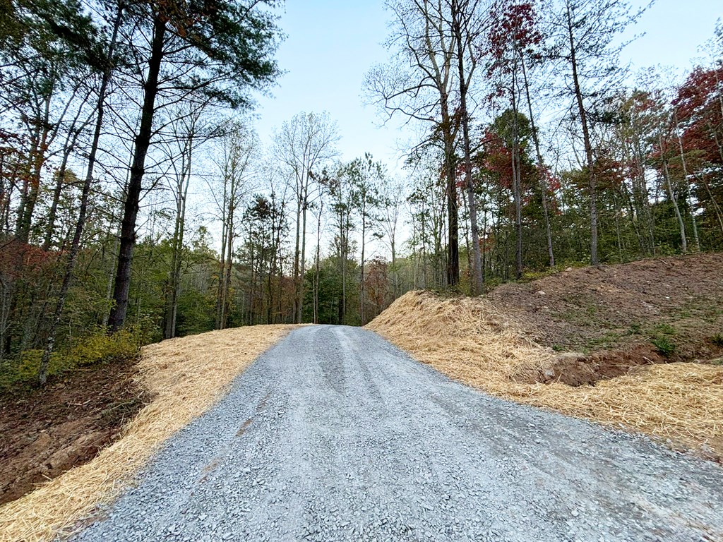 2010 Mt. Springer Road Property Photo 38