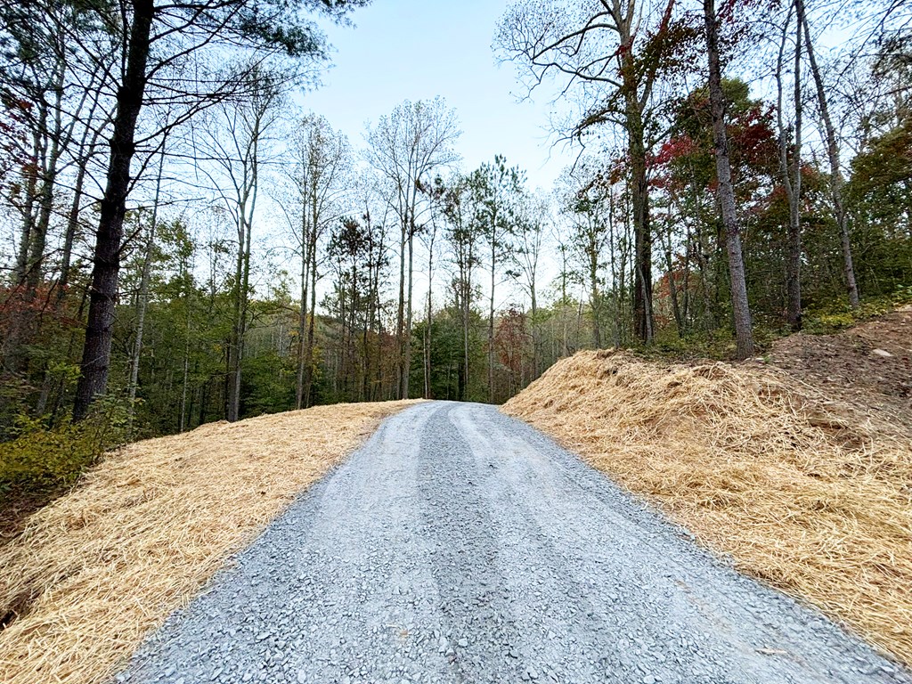 2010 Mt. Springer Road Property Photo 39