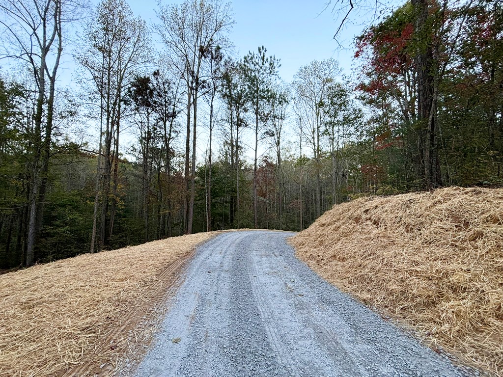 2010 Mt. Springer Road Property Photo 40