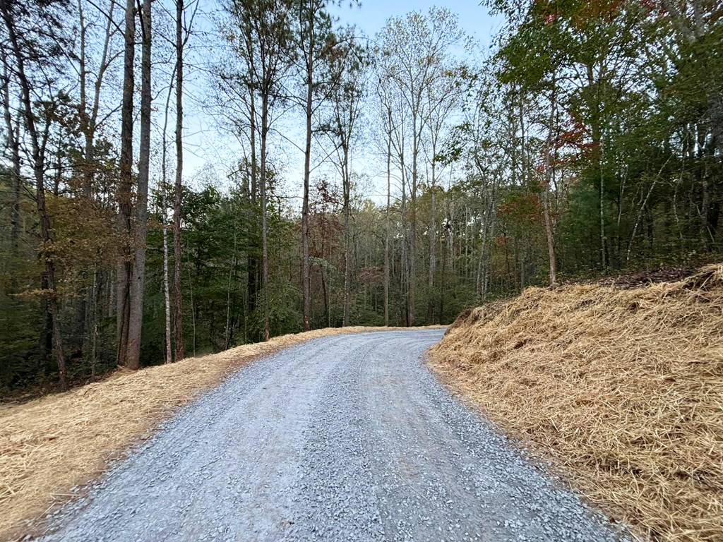 2010 Mt. Springer Road Property Photo 41