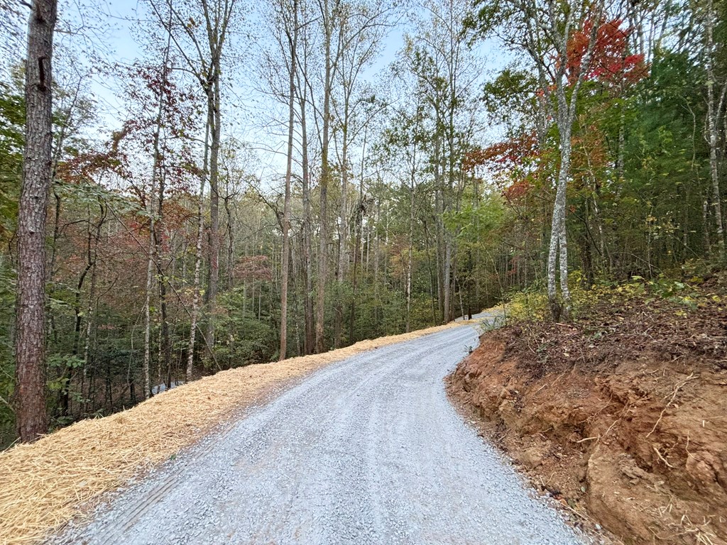 2010 Mt. Springer Road Property Photo 42