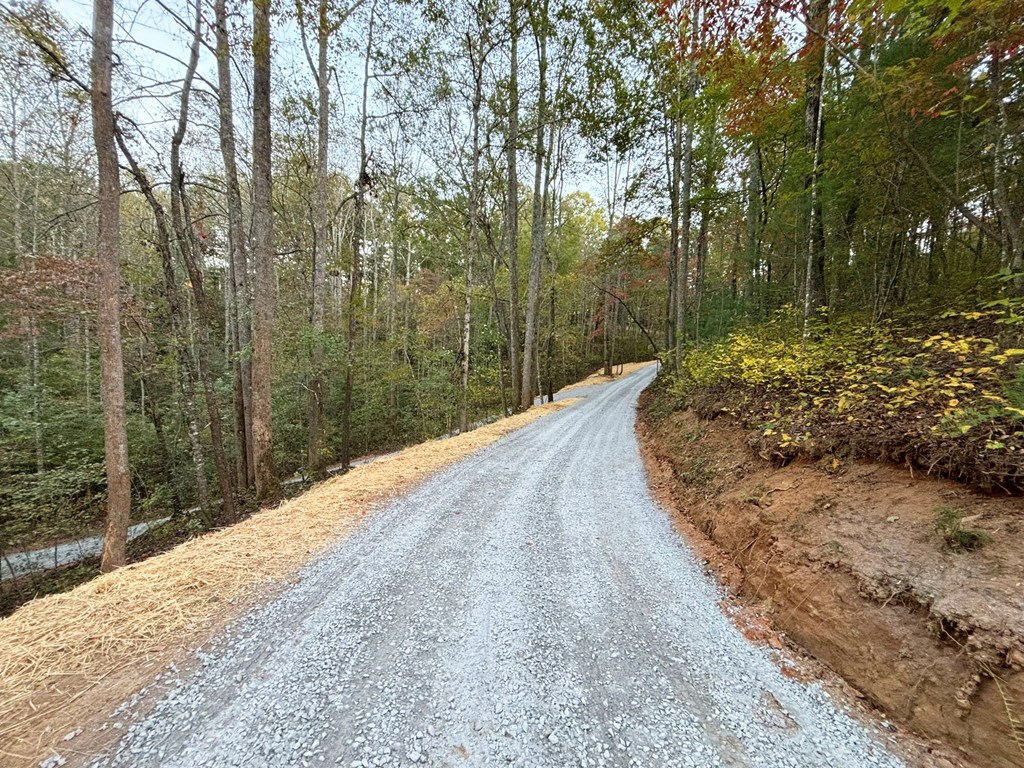 2010 Mt. Springer Road Property Photo 43