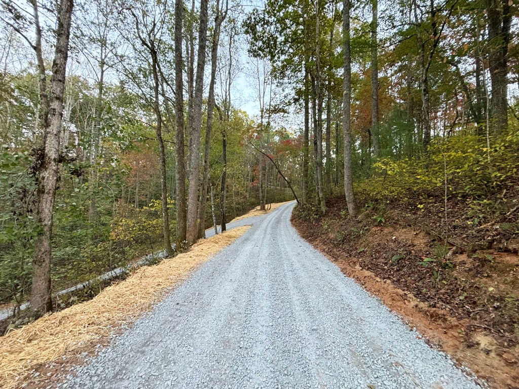 2010 Mt. Springer Road Property Photo 44