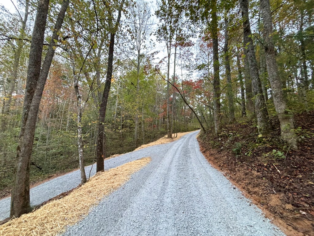 2010 Mt. Springer Road Property Photo 45