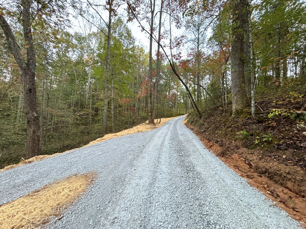 2010 Mt. Springer Road Property Photo 46