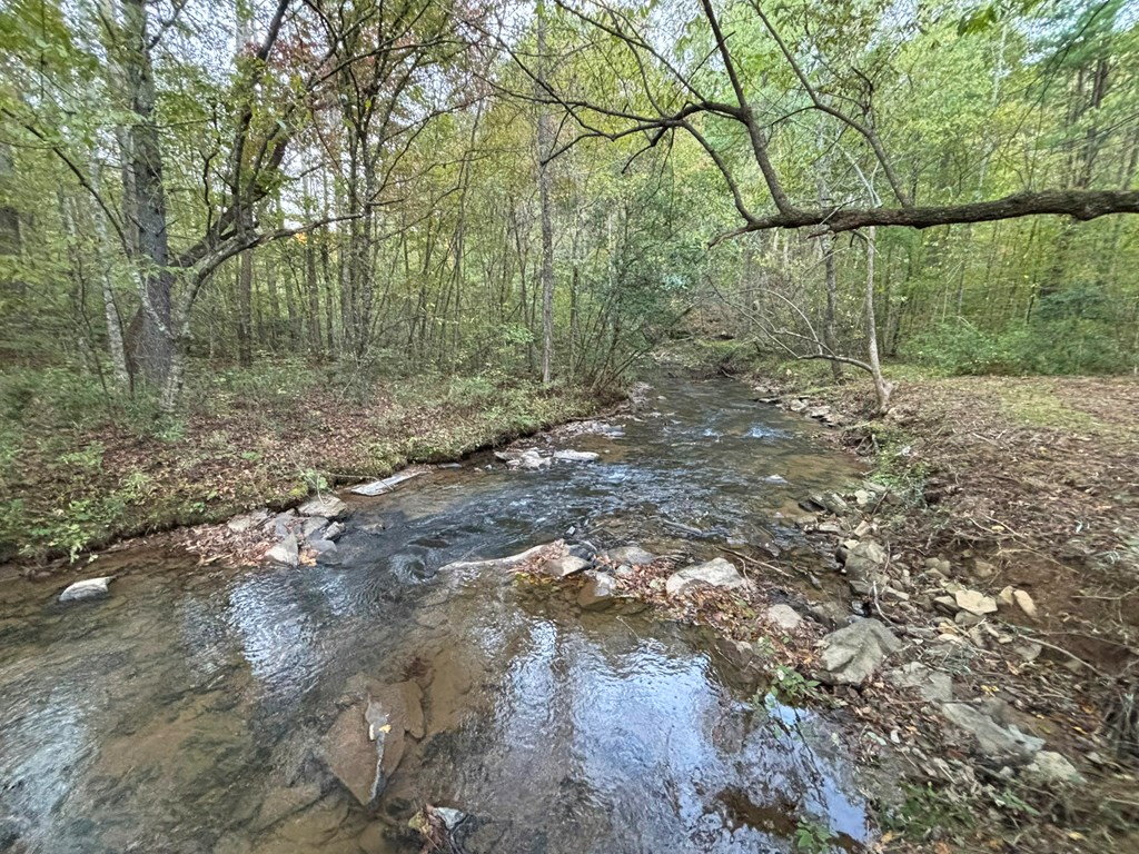 2010 Mt. Springer Road Property Photo 47