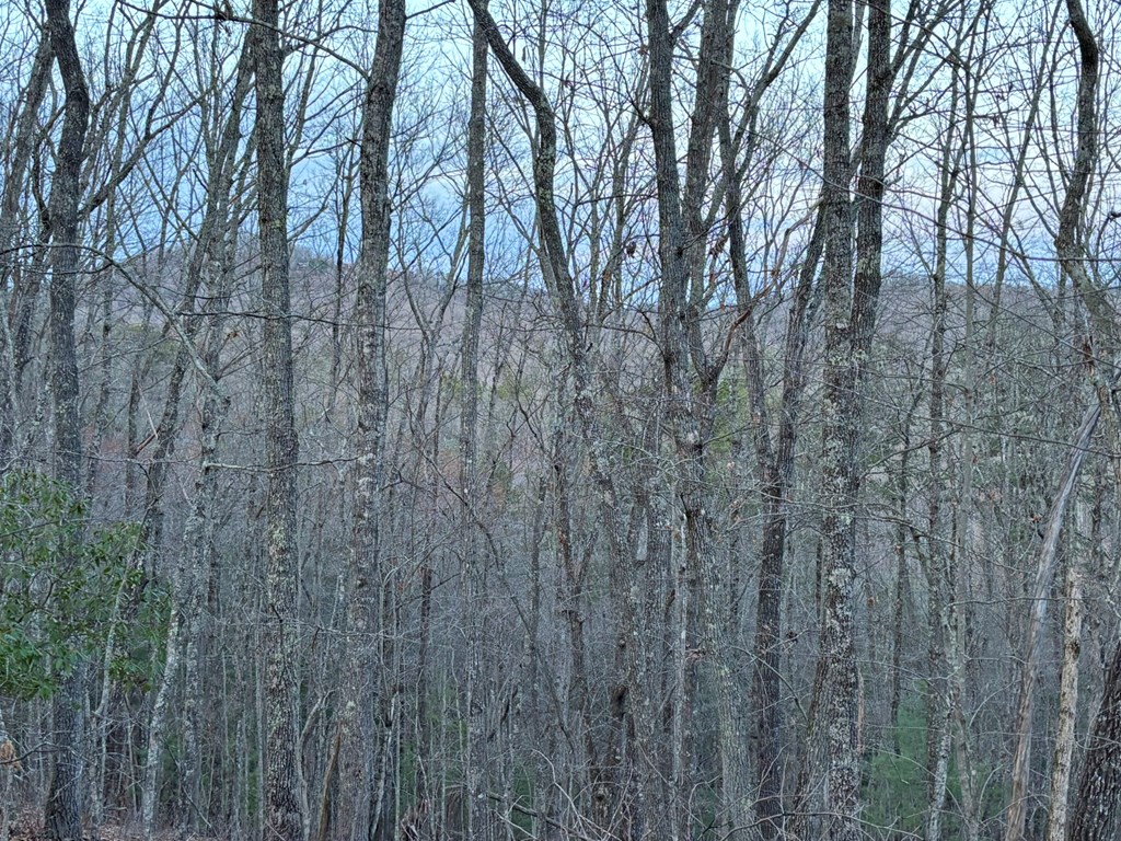 2370 Humphrey Mill Road Property Photo 5