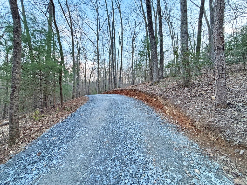 2370 Humphrey Mill Road Property Photo 7