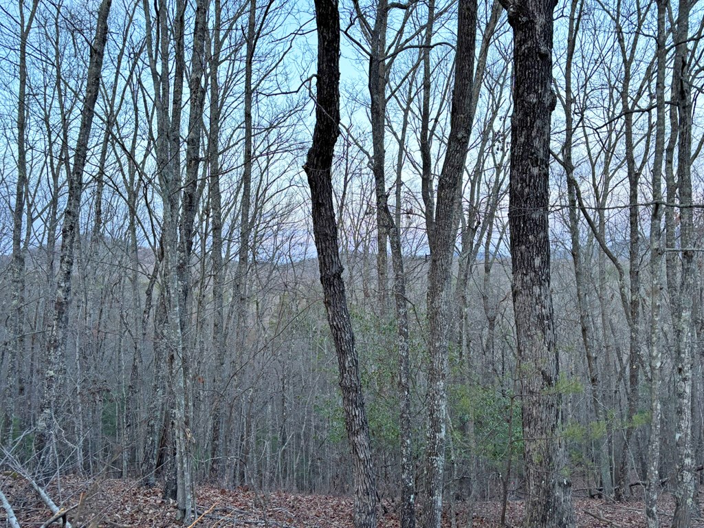 2370 Humphrey Mill Road Property Photo 8