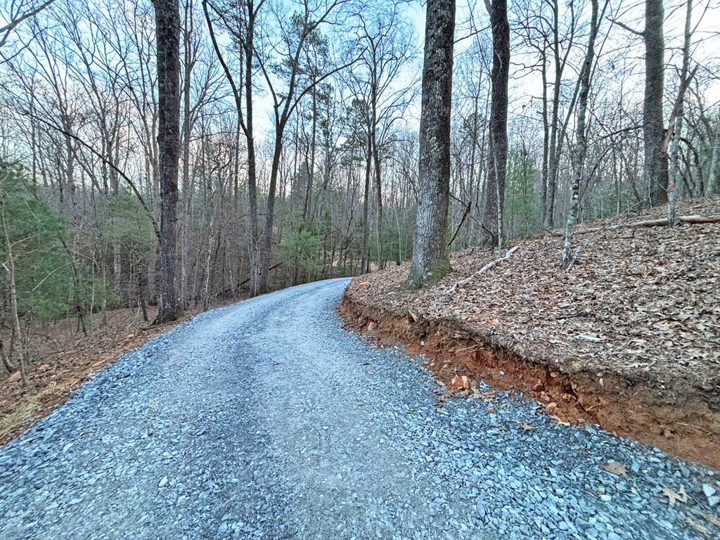 2370 Humphrey Mill Road Property Photo 10