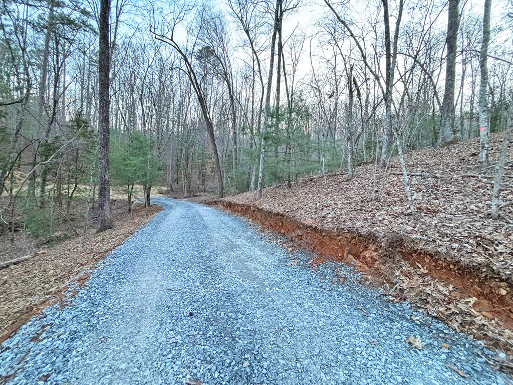 2370 Humphrey Mill Road Property Photo 12
