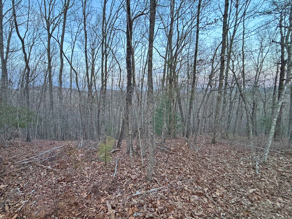 2370 Humphrey Mill Road Property Photo 13