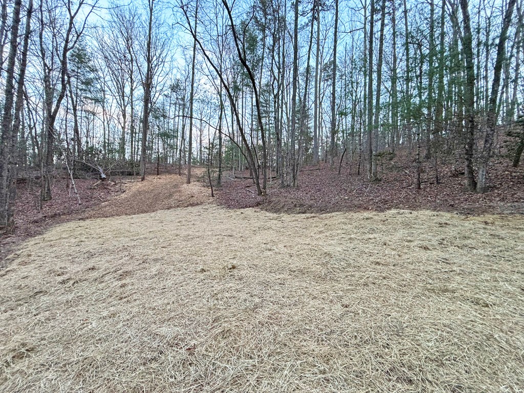 2370 Humphrey Mill Road Property Photo 14