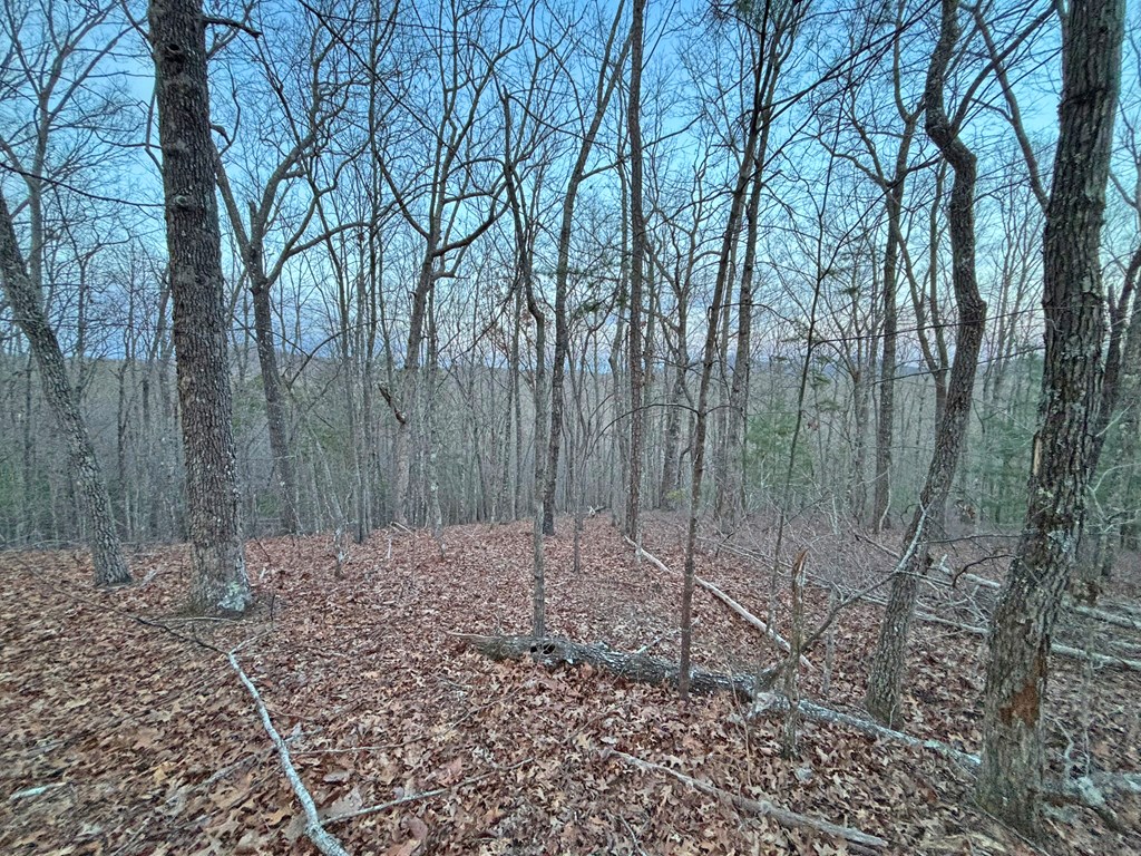 2370 Humphrey Mill Road Property Photo 15