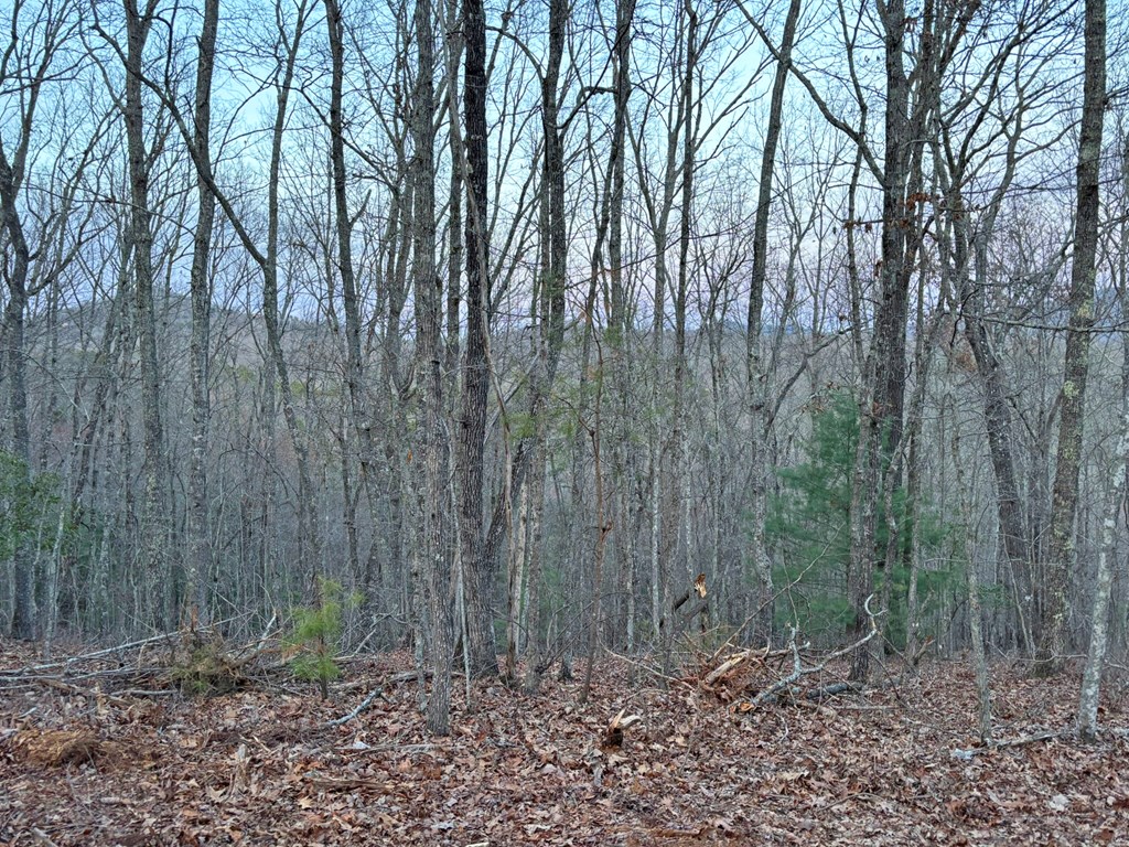 2370 Humphrey Mill Road Property Photo 17