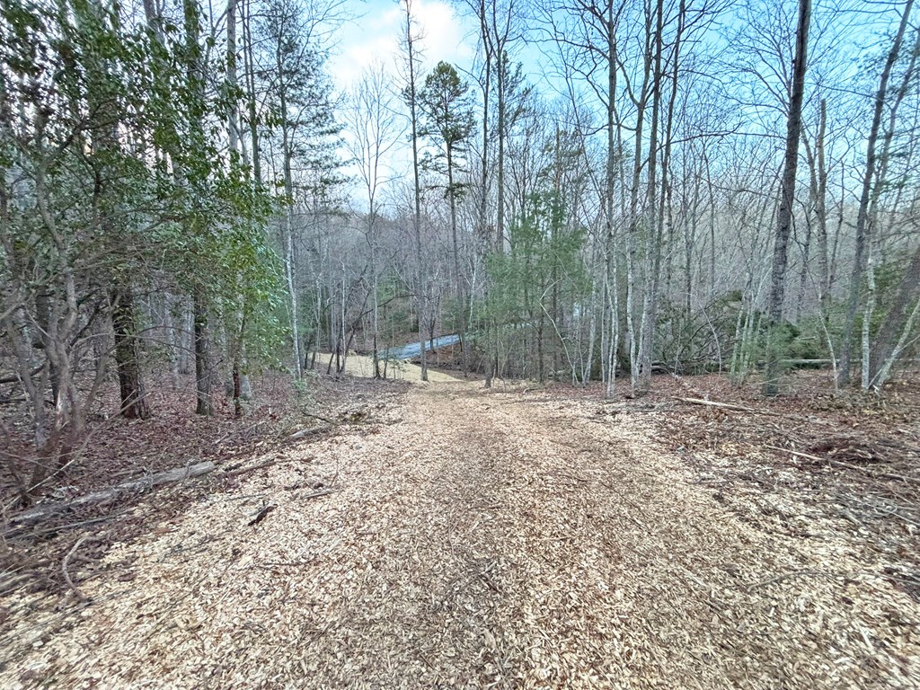 2370 Humphrey Mill Road Property Photo 18