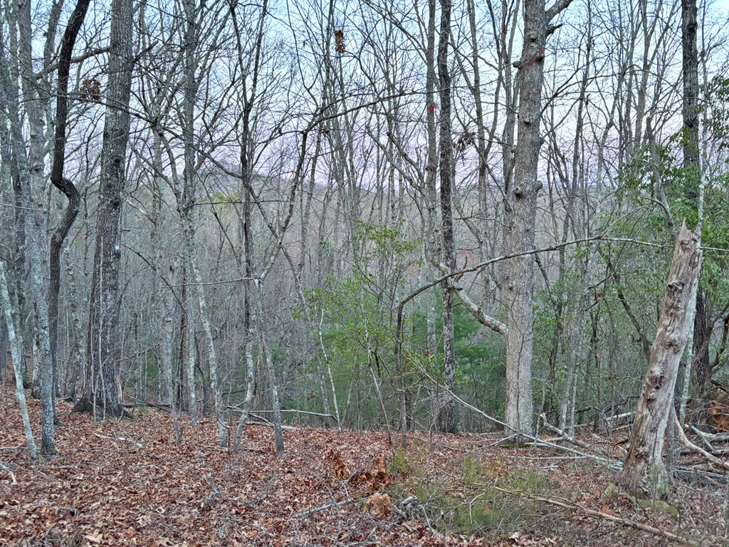2370 Humphrey Mill Road Property Photo 19